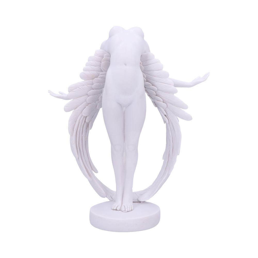 Angels Liberation 26.5cm