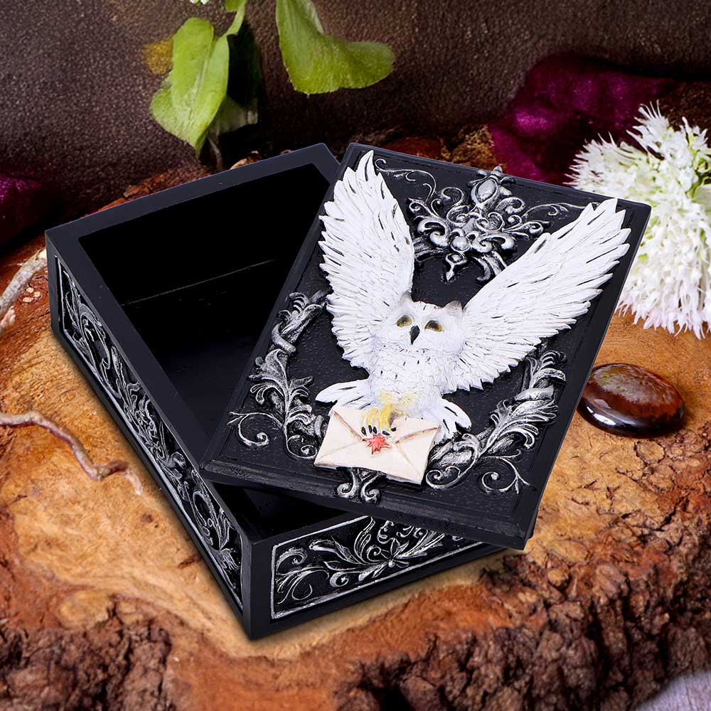 Owl Messenger Box 14cm