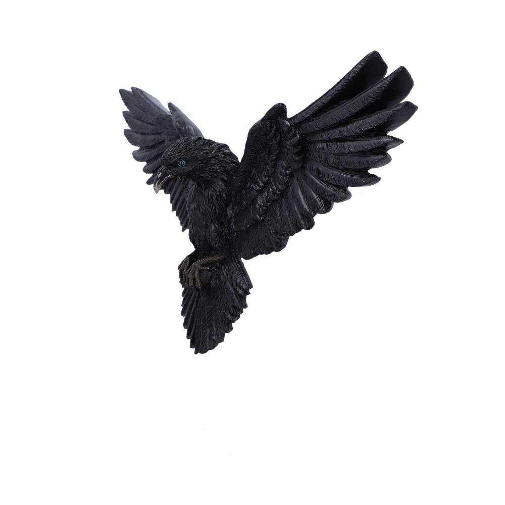 Flight of the Raven 35cm