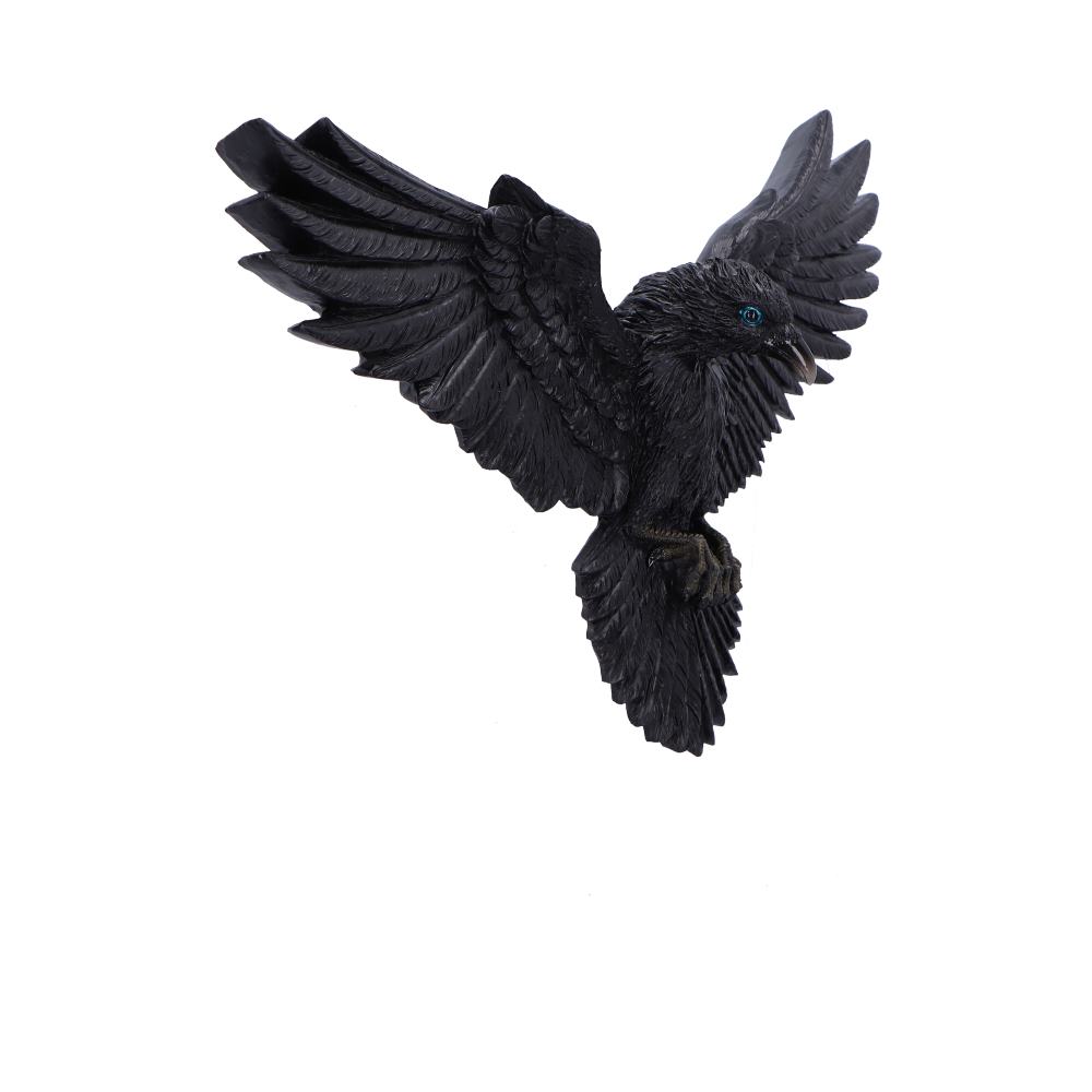 Flight of the Raven 35cm