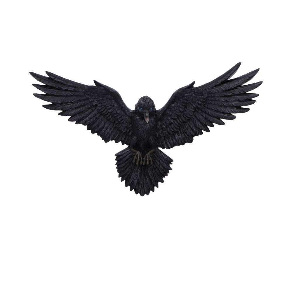 Flight of the Raven 35cm