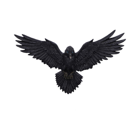 Flight of the Raven 35cm