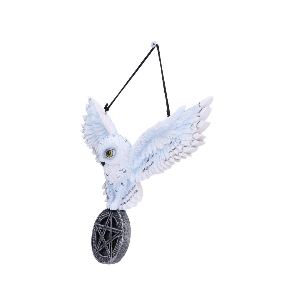 Owl Talisman 20.5cm