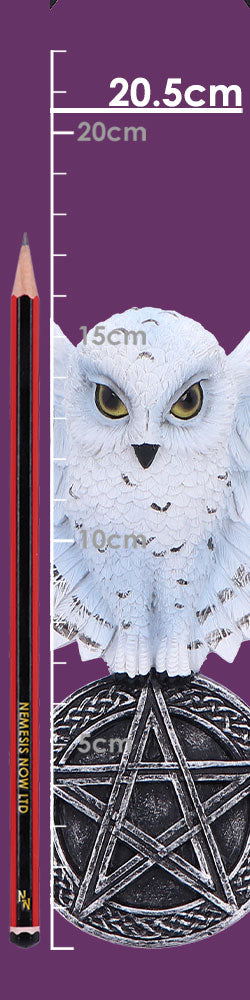 Owl Talisman 20.5cm