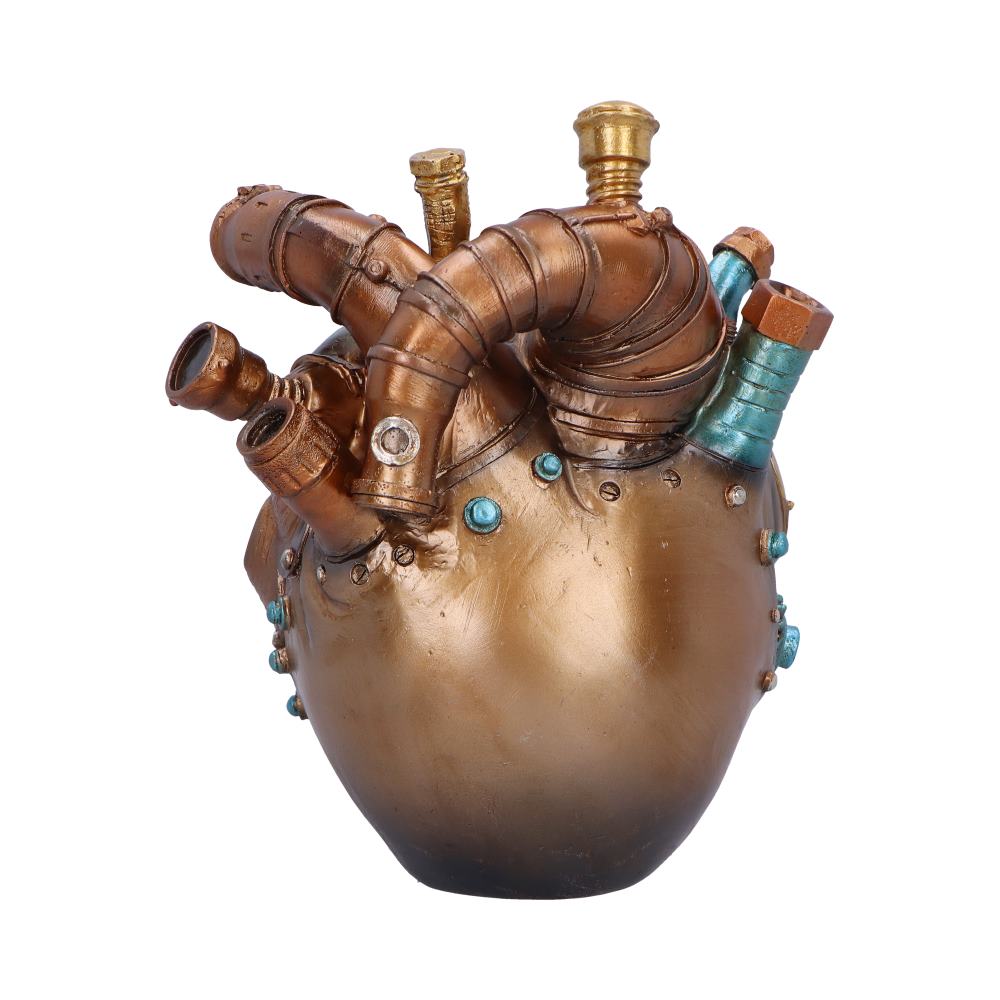 Cardiac Cranium