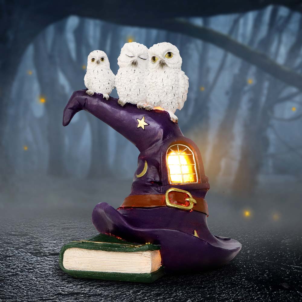 The Witching Perch