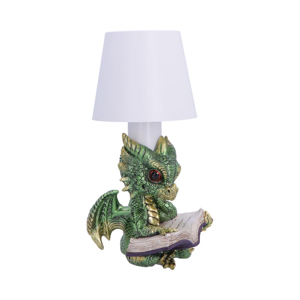Bookwyrm Lamp