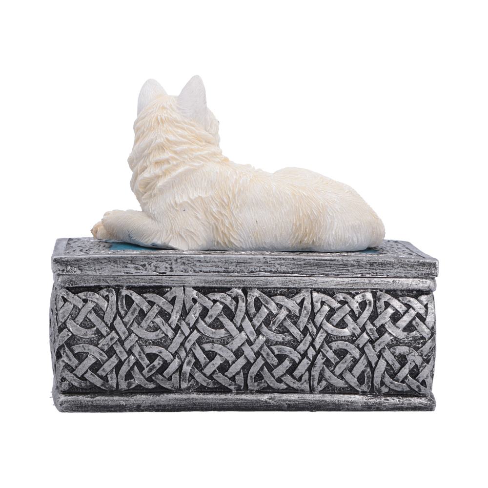 Ghost Wolf Box 10cm