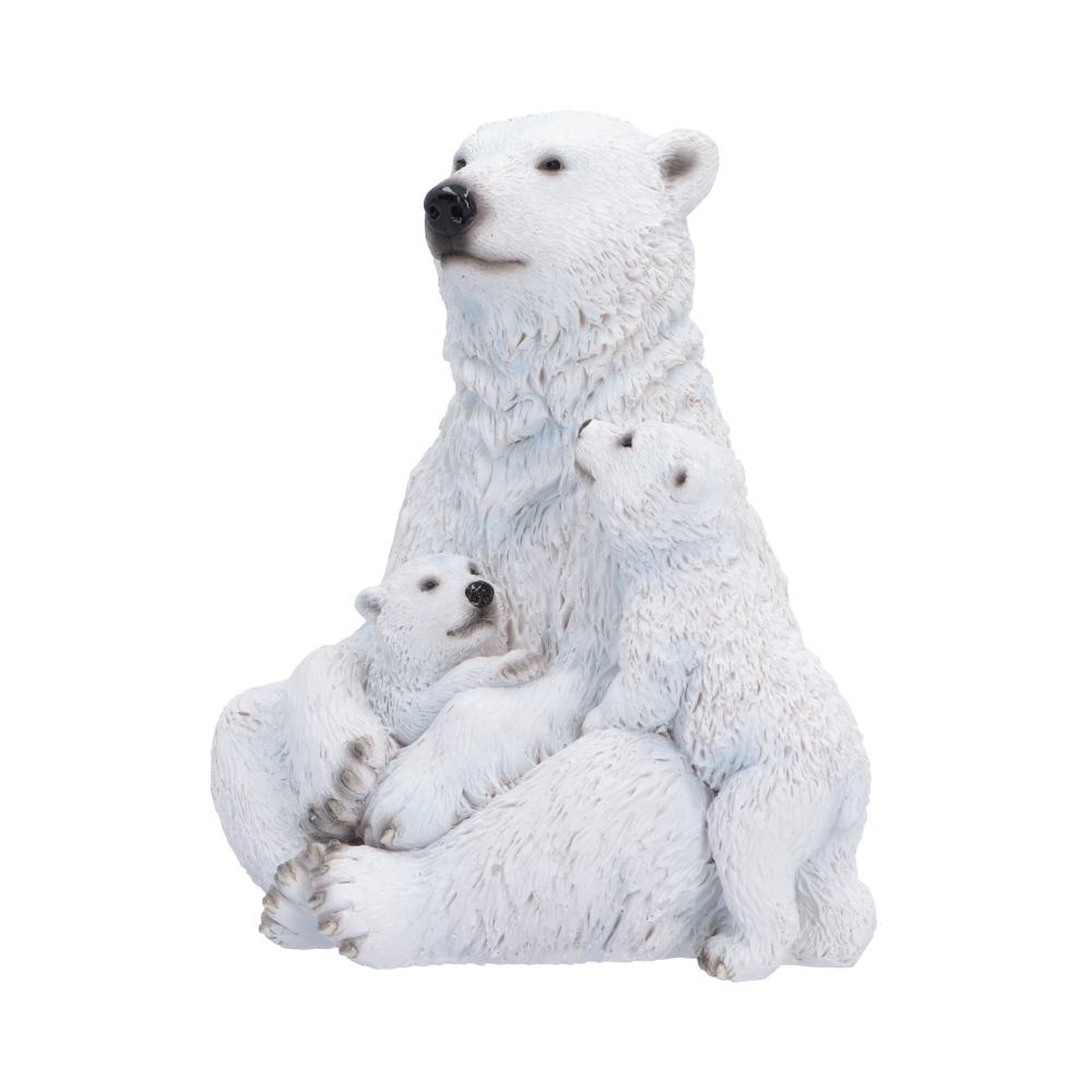 Polar Protection 12.7cm