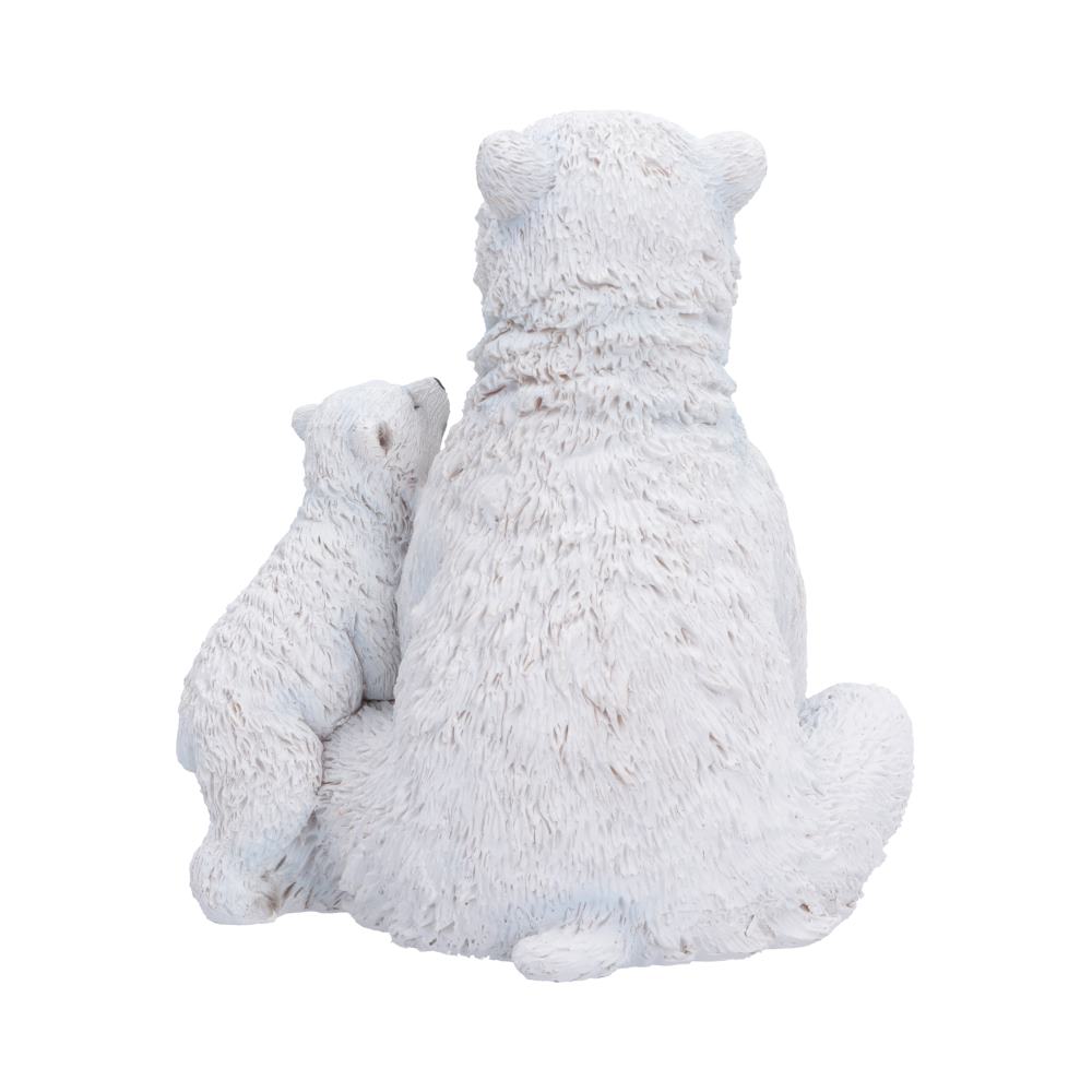 Polar Protection 12.7cm