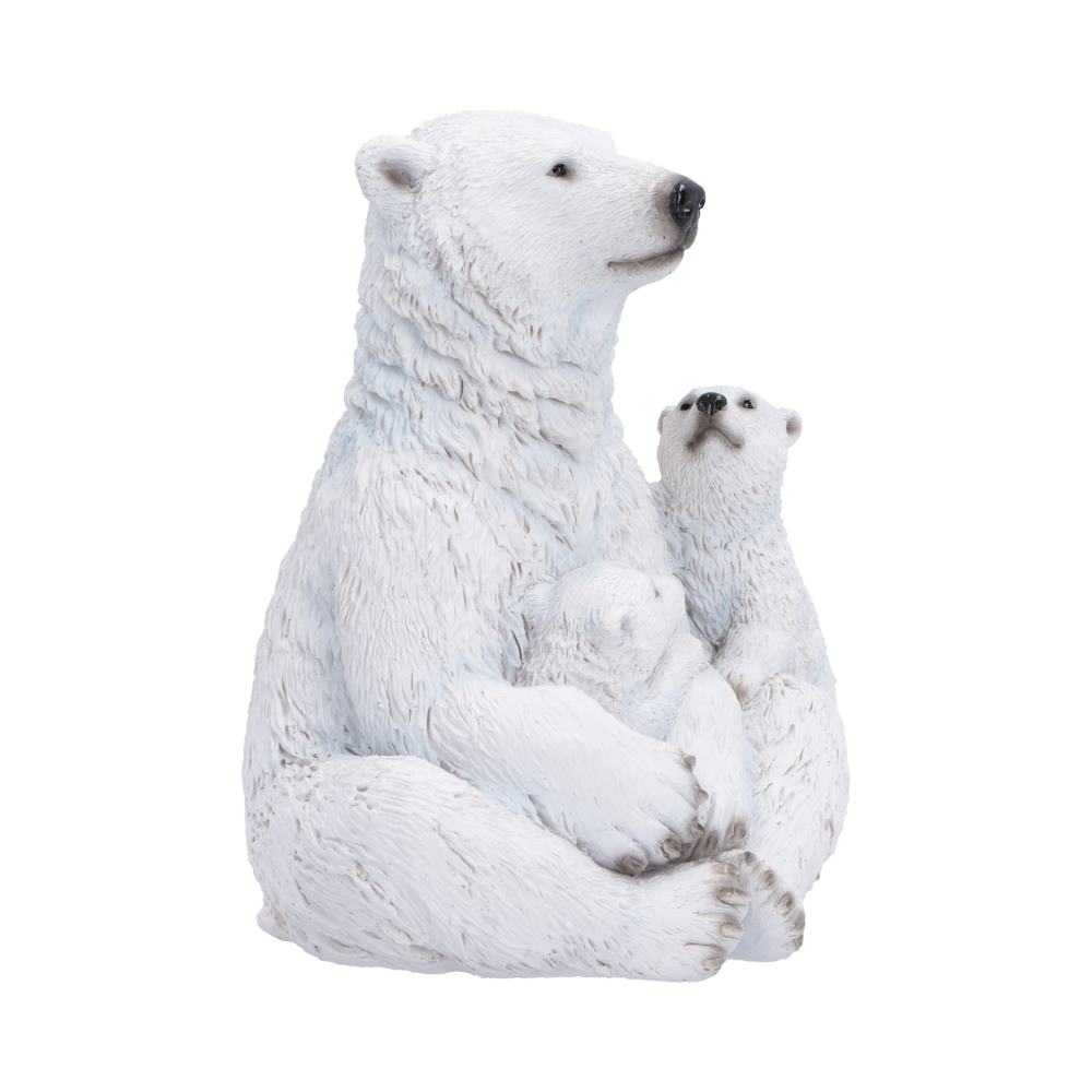 Polar Protection 12.7cm