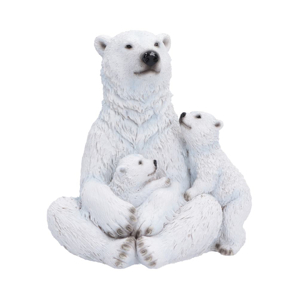Polar Protection 12.7cm