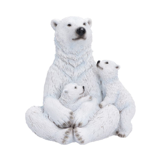 Polar Protection 12.7cm