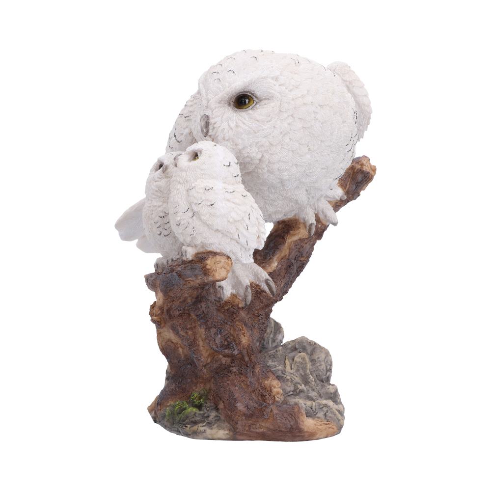 Nest of Love 21.8cm