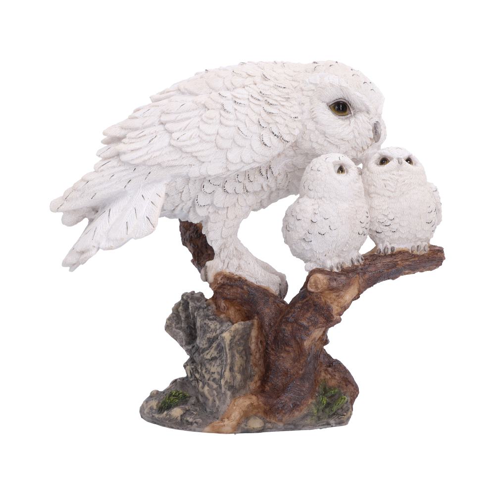 Nest of Love 21.8cm