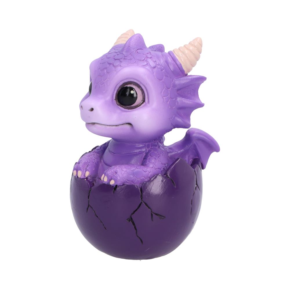 Shellbound (Purple) 8.6cm