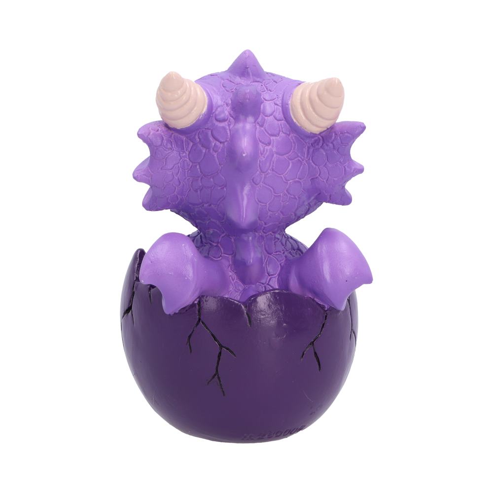 Shellbound (Purple) 8.6cm