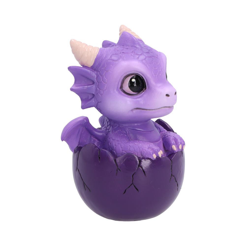 Shellbound (Purple) 8.6cm