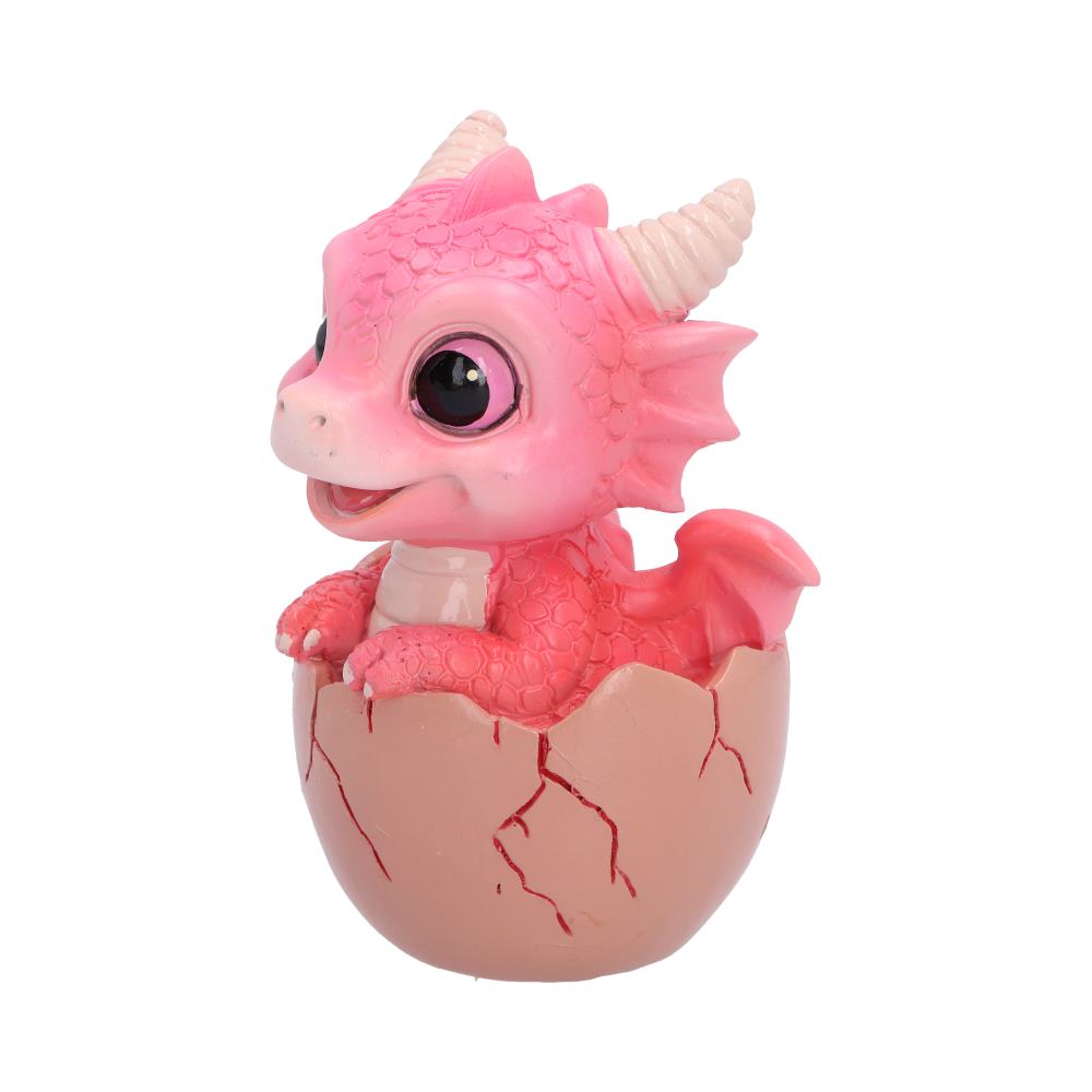 Shellbound (Pink)  8.6cm