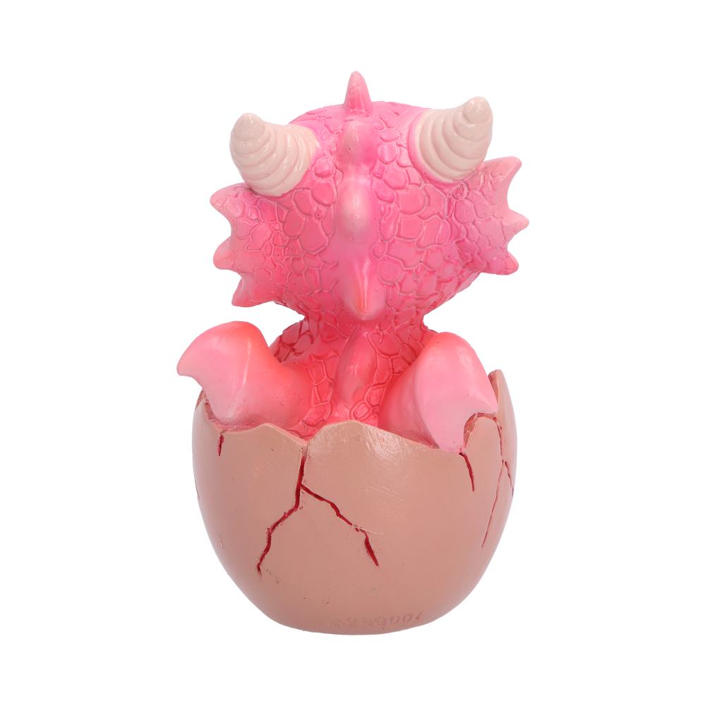 Shellbound (Pink)  8.6cm