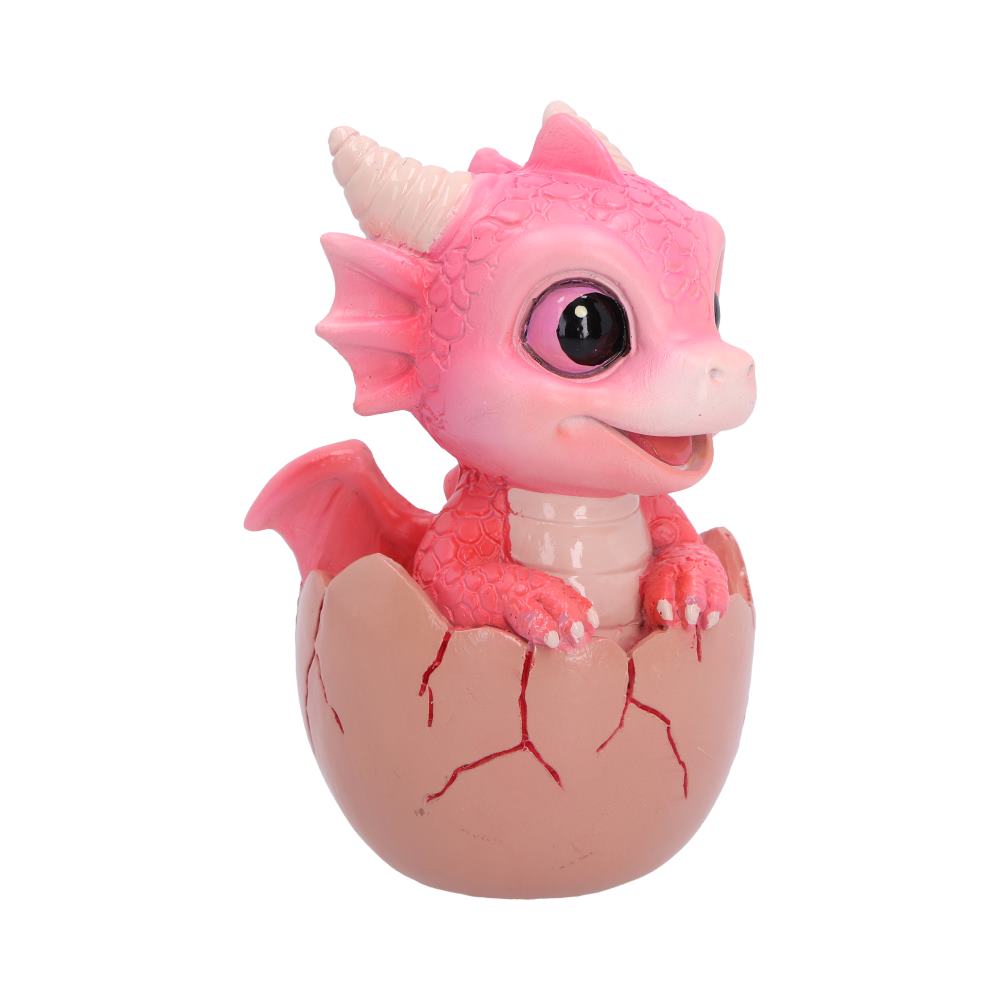 Shellbound (Pink)  8.6cm