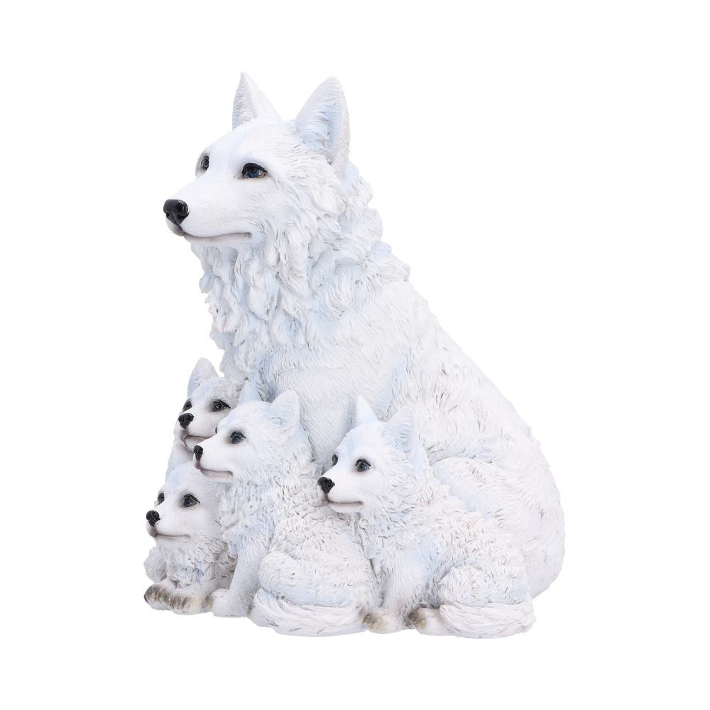 Arctic Bond 16.7cm
