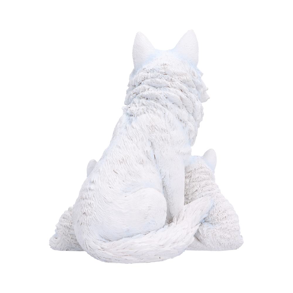 Arctic Bond 16.7cm
