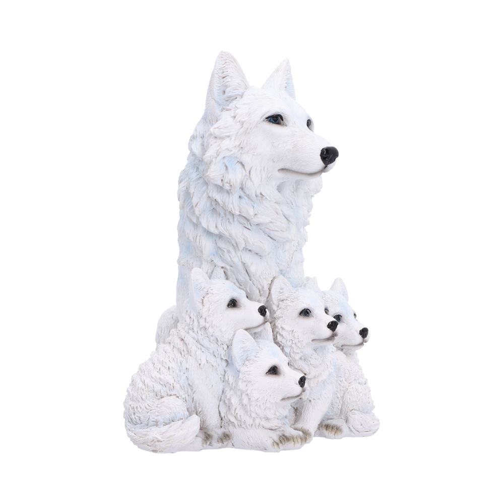 Arctic Bond 16.7cm