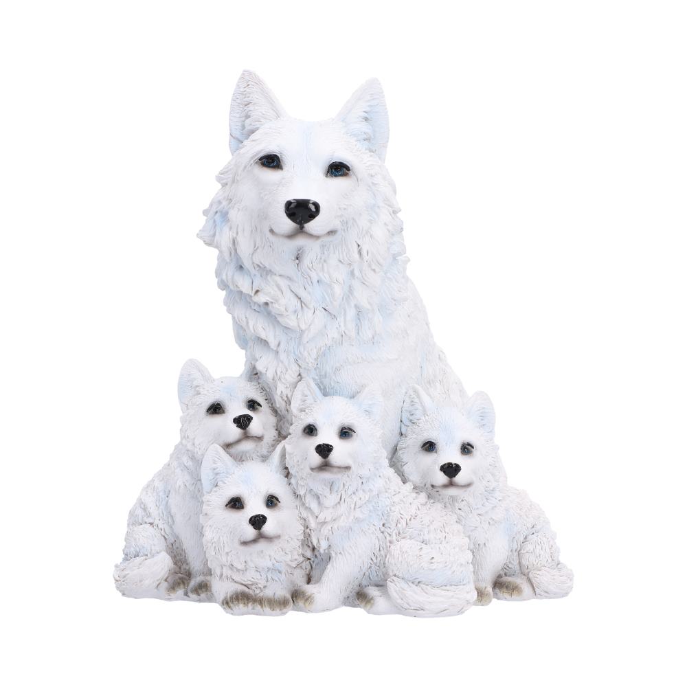 Arctic Bond 16.7cm