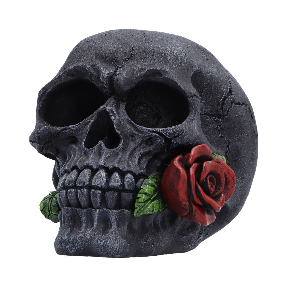 The Last Rose (Pack of 2) 8.7cm