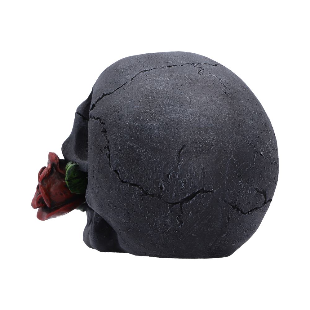 The Last Rose (Pack of 2) 8.7cm