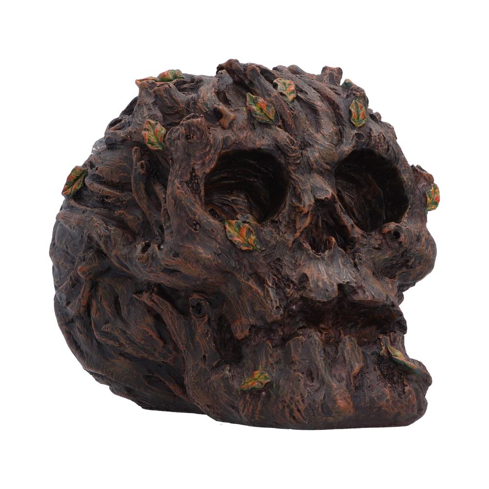 Deadwood 11cm