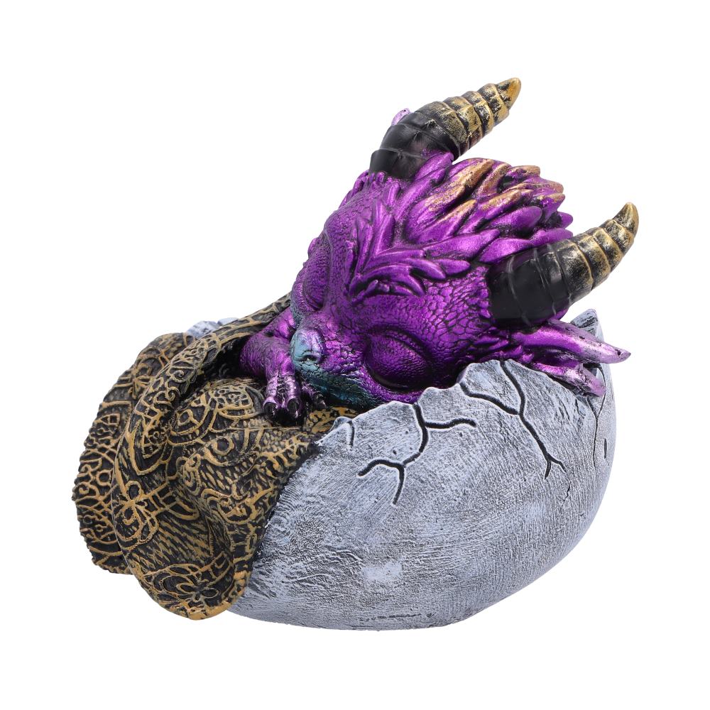 Shellbound Slumber 9.5cm