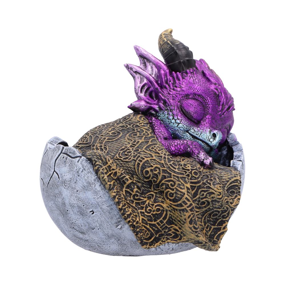 Shellbound Slumber 9.5cm