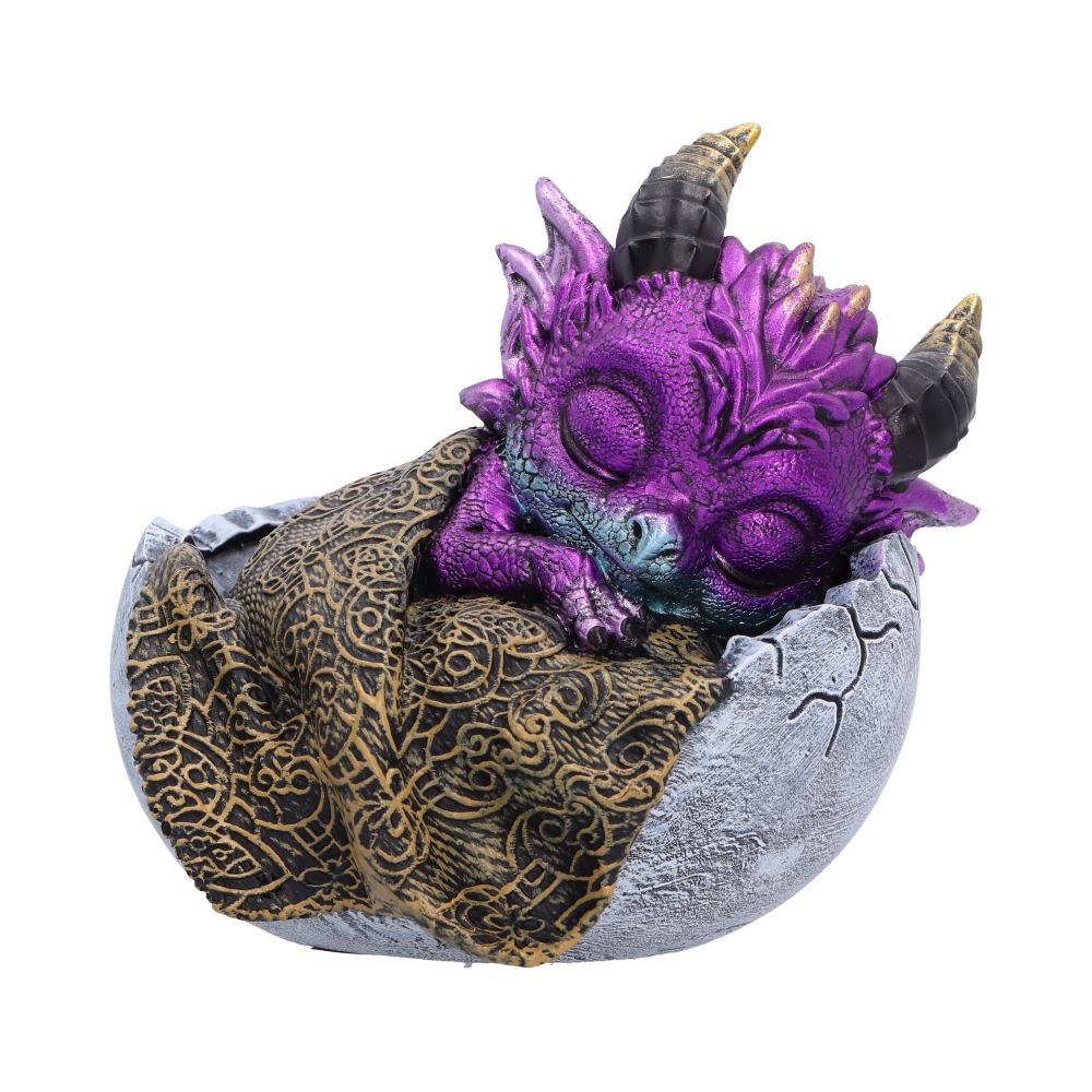 Shellbound Slumber 9.5cm