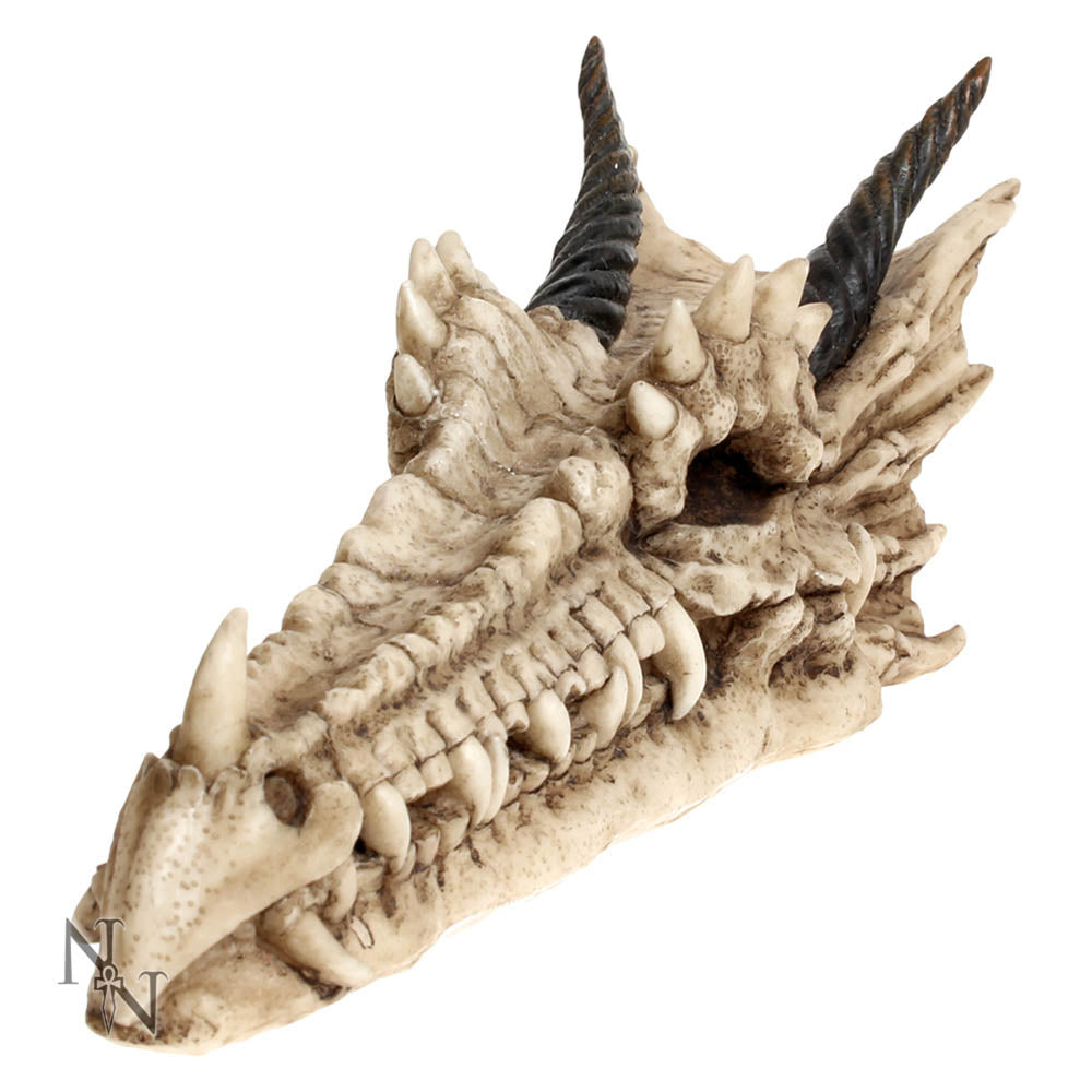 Draco Skull Incense Holder 24cm