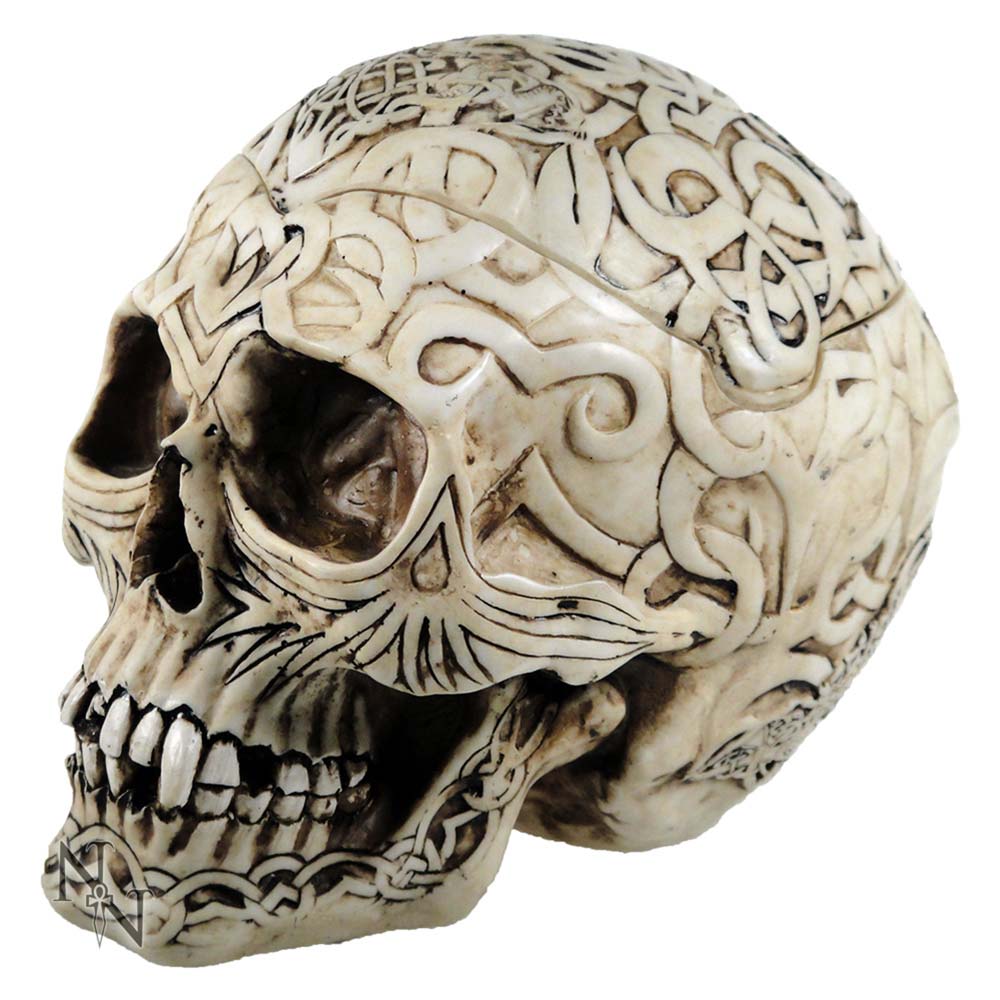 Celtic Skull Box 20cm